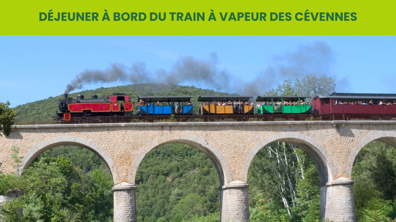 DÉJEUNER À BORD DU TRAIN À VAPEUR DES CÉVENNES ET BAMBOUSERAIE D'ANDUZE
